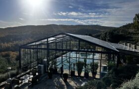 davinci img 20240604 wa0055
